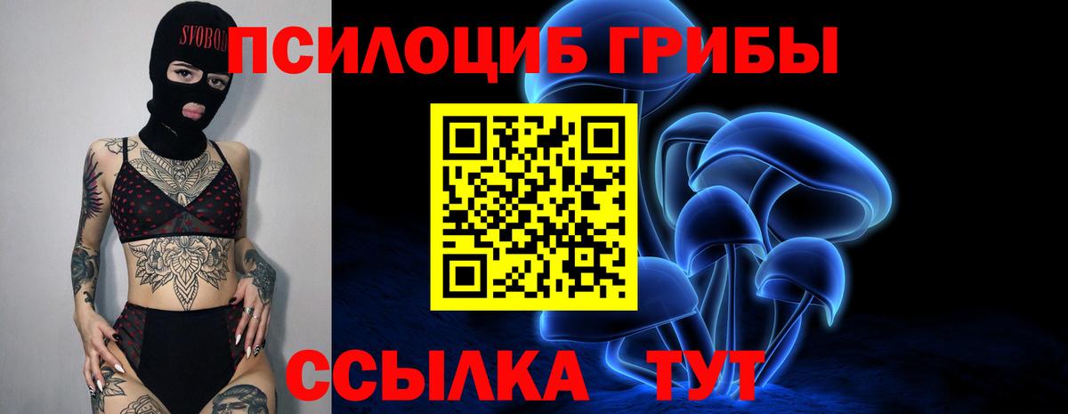 Псилоцибиновые грибы мухоморы Костомукша